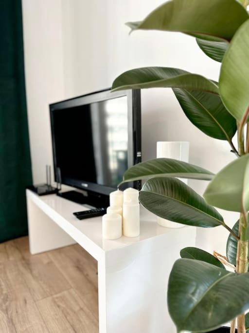 Appartement Dzielnica Parkowa #7 à Rzeszów Extérieur photo